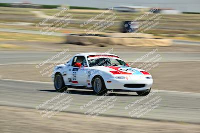 media/May-24-2025-Turn8 Trackdays (Sat) [[034586b55d]]/1 Advanced 2/Session 2 (Cotton Corners-Grapevine)/